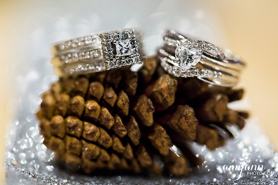 Katie And Shanaka Lesbian Wedding Rings On Pine Cone Winter Wedding Image By Amy Ann Photography 2 - Six Stylish Same-Sex Winter Weddings Katie And Shanaka Lesbian Wedding Rings On Pine Cone Winter Wedding Image By Amy Ann Photography 2 - Six Stylish Same-Sex Winter Weddings Gay Wedding Guide