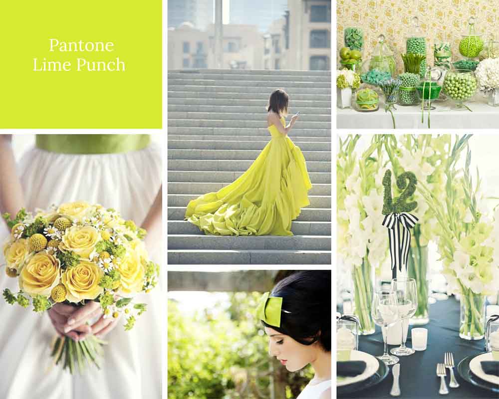 Lime Punch Green Wedding Theme Ideas Pantone 2018 Gay Wedding Guide 2 - Wedding Colour Schemes 2020 Lime Punch Green Wedding Theme Ideas Pantone 2018 Gay Wedding Guide 2 - Wedding Colour Schemes 2020 Gay Wedding Guide