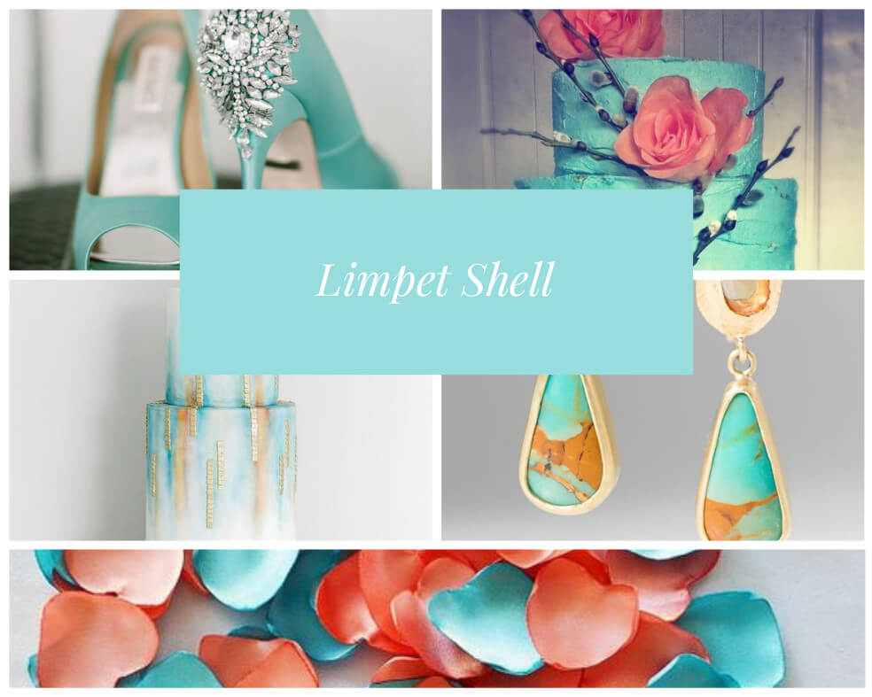 Limpet Shell Wedding Colors For 2019 Via Gay Wedding Guide 2 - Wedding Colours For 2019 Limpet Shell Wedding Colors For 2019 Via Gay Wedding Guide 2 - Wedding Colours For 2019 Gay Wedding Guide
