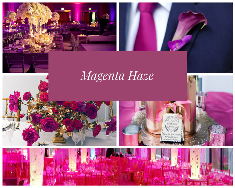Magenta Haze Wedding Colors For 2019 Via Gay Wedding Guide 2 - Wedding Colours For 2019 Magenta Haze Wedding Colors For 2019 Via Gay Wedding Guide 2 - Wedding Colours For 2019 Gay Wedding Guide