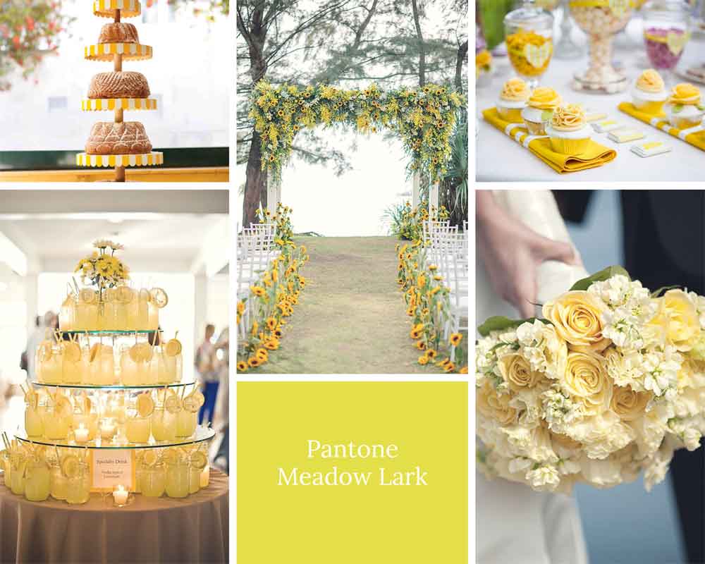 Meadow Lark Yellow Wedding Ideas Pantone 2018 Gay Wedding Guide 2 - Wedding Colour Schemes 2020 Meadow Lark Yellow Wedding Ideas Pantone 2018 Gay Wedding Guide 2 - Wedding Colour Schemes 2020 Gay Wedding Guide