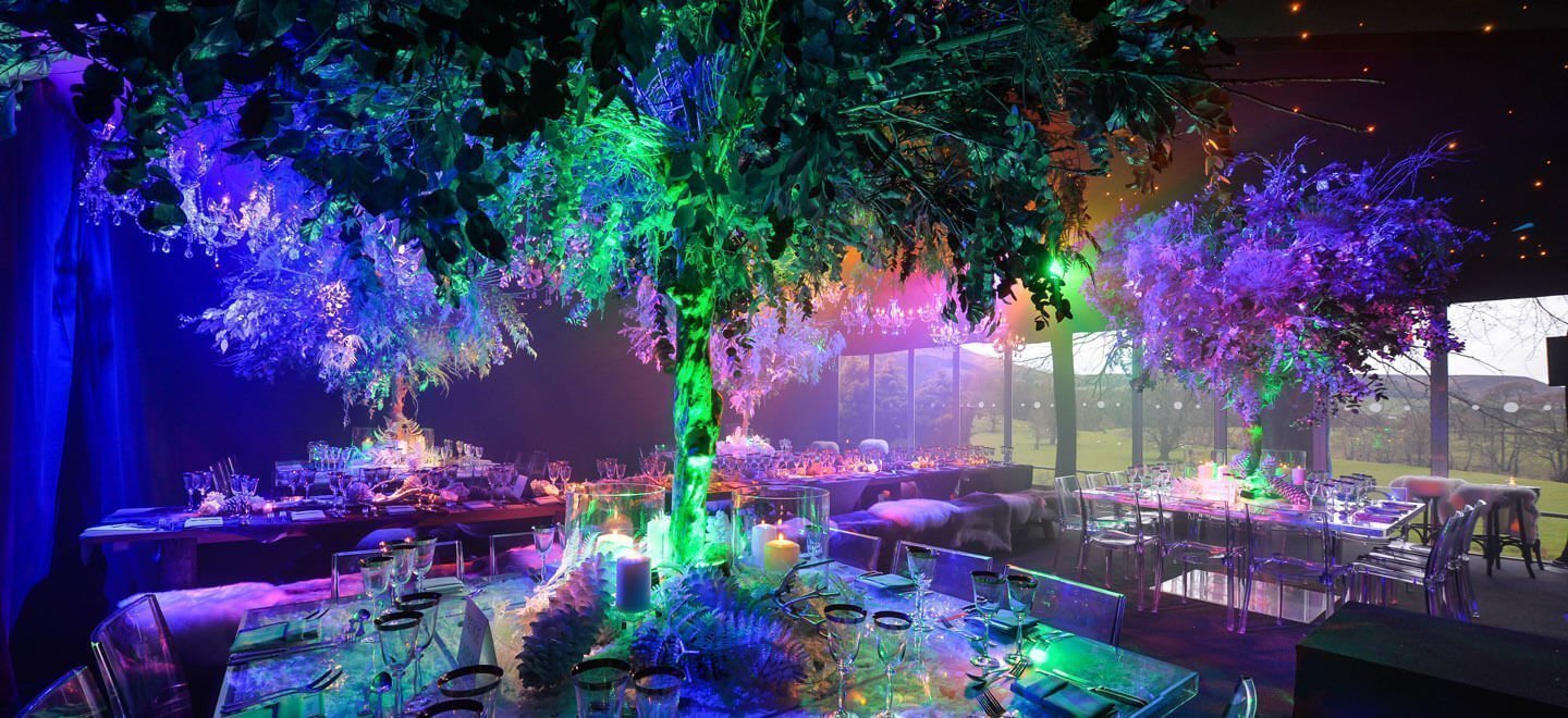 Overhanging Branches At Best Winter Wedding Theme Ideas By Award Winning Wedding Planner Tlc Via The Gay Wedding Guide 1 1 - The Ultimate Winter Wedding Theme Ideas The Ultimate Winter Wedding Theme Ideas