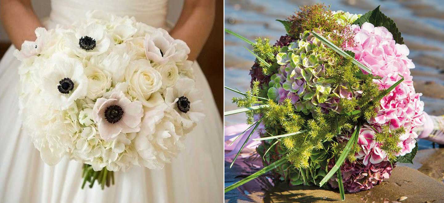 Pink Wedding Bouquet By Image Copyright Hydrangea World Plus White Hydrangea And Poppies Bouquet 2 - How To Create The Perfect Diy Hydrangea Wedding Bouquet Tutorial Pink Wedding Bouquet By Image Copyright Hydrangea World Plus White Hydrangea And Poppies Bouquet 2 - How To Create The Perfect Diy Hydrangea Wedding Bouquet Tutorial Gay Wedding Guide