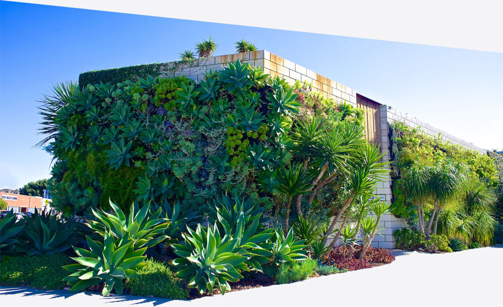 Smog Shoppe Los Angeles Best Destination Wedding Venue Gay Wedding Guide 2 - How To Plan A Destination Wedding In The Us Smog Shoppe Los Angeles Best Destination Wedding Venue Gay Wedding Guide 2 - How To Plan A Destination Wedding In The Us Gay Wedding Guide