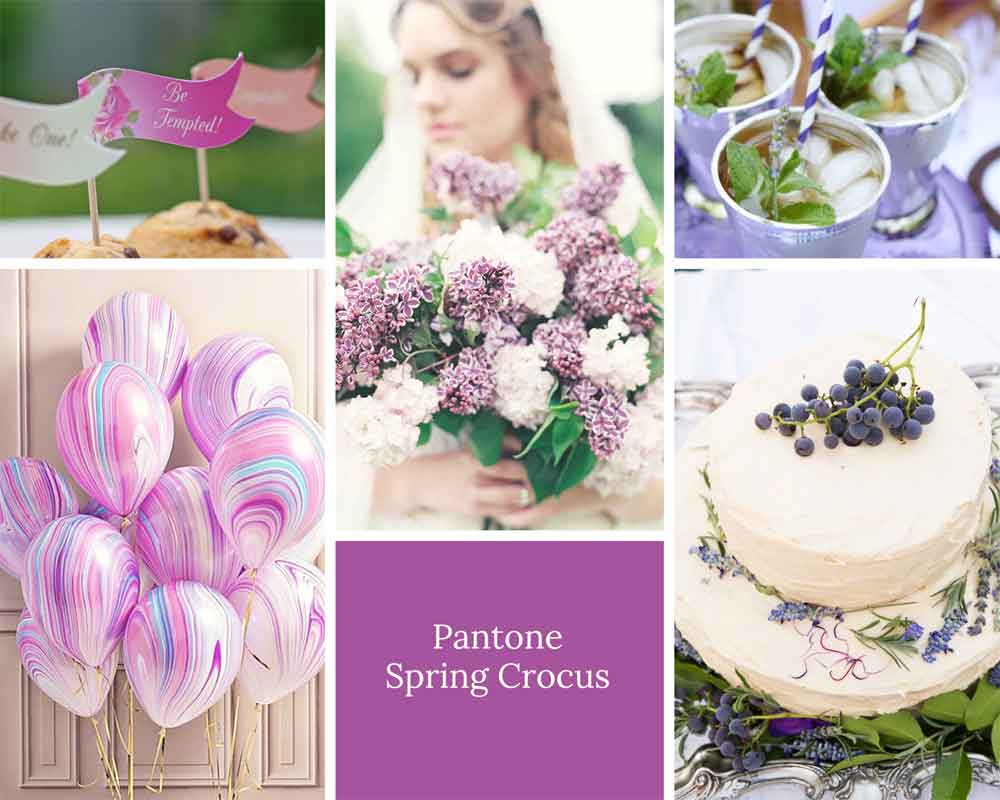 Spring Crocus Purple Wedding Theme Ideas Pantone 2018 Gay Wedding Guide 2 - Wedding Colour Schemes 2020 Spring Crocus Purple Wedding Theme Ideas Pantone 2018 Gay Wedding Guide 2 - Wedding Colour Schemes 2020 Gay Wedding Guide