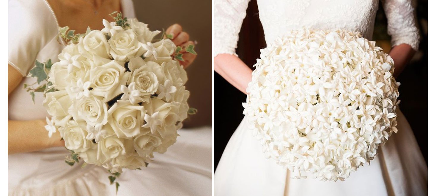 Stephanotis Bouquets With White Roses White Wedding Flowers Via The Gay Wedding Guide 1 - Uwp - Profile Stephanotis Bouquets With White Roses White Wedding Flowers Via The Gay Wedding Guide 1 - Uwp - Profile Gay Wedding Guide