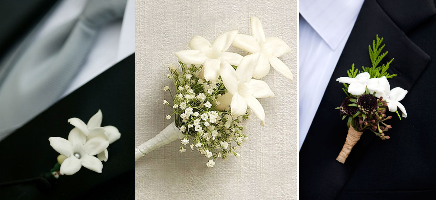 Stephanotis Buttonholes Via The Gay Wedding Guide 2 - Floral Focus: Stephanotis Wedding Flowers Stephanotis Buttonholes Via The Gay Wedding Guide 2 - Floral Focus: Stephanotis Wedding Flowers Gay Wedding Guide