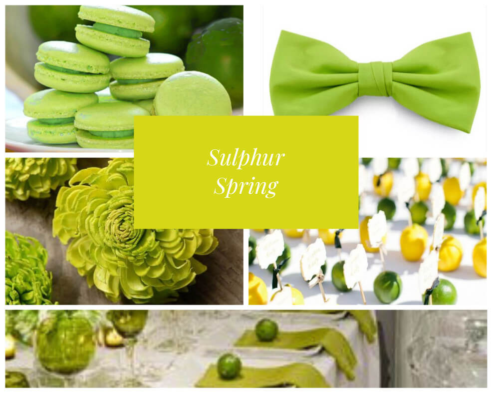 Sulphur Spring Lime Wedding Colors For 2019 Via Gay Wedding Guide 2 - Wedding Colours For 2019 Sulphur Spring Lime Wedding Colors For 2019 Via Gay Wedding Guide 2 - Wedding Colours For 2019 Gay Wedding Guide