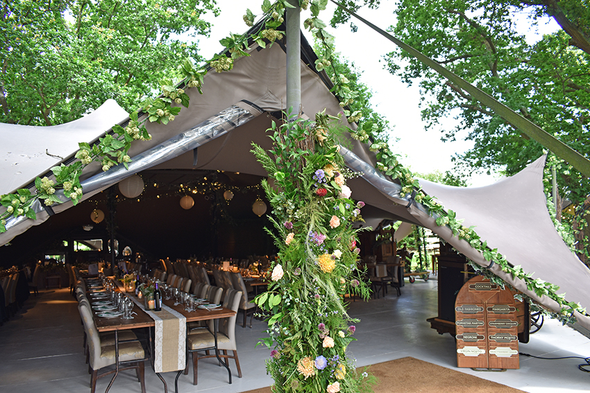 The Oak Grove 2