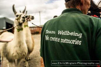 The Wellbeing Farm Wedding Photographer Yvonnevictoria Chris Mcgloin Photography 03847 Websize 344X230