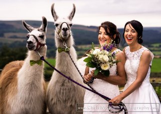 The Wellbeing Farm Wedding Photographer Yvonnevictoria Chris Mcgloin Photography 04134 Websize 323X230