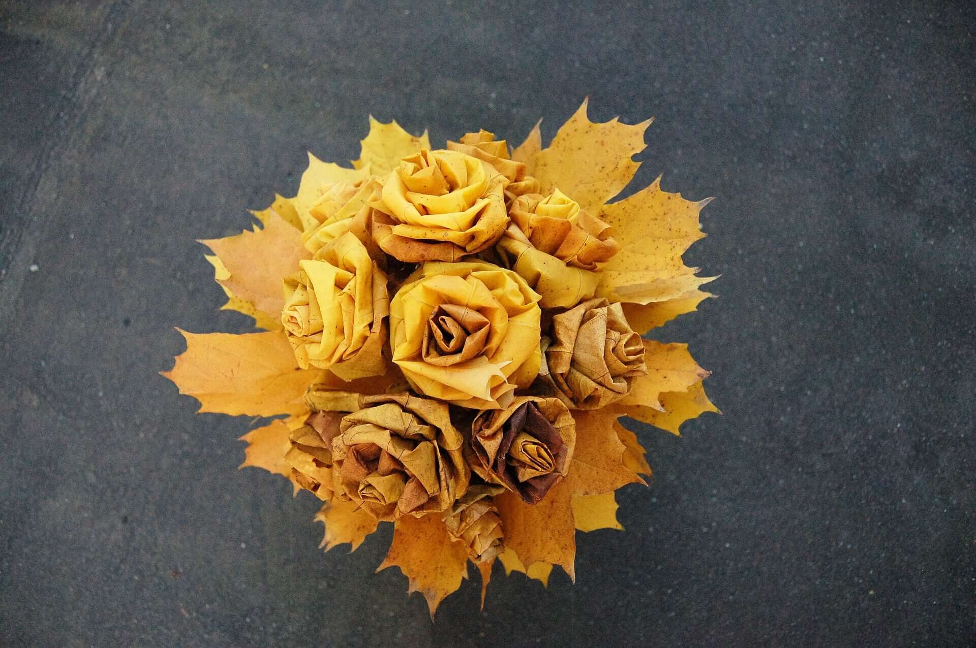 Autum Leaves Bouquet Maple 2068474 1920 2 - 23 Charming &Amp; Rare Alternative Wedding Bouquets Ideas To Quick-Start Your Creativity Autum Leaves Bouquet Maple 2068474 1920 2 - 23 Charming &Amp; Rare Alternative Wedding Bouquets Ideas To Quick-Start Your Creativity Gay Wedding Guide