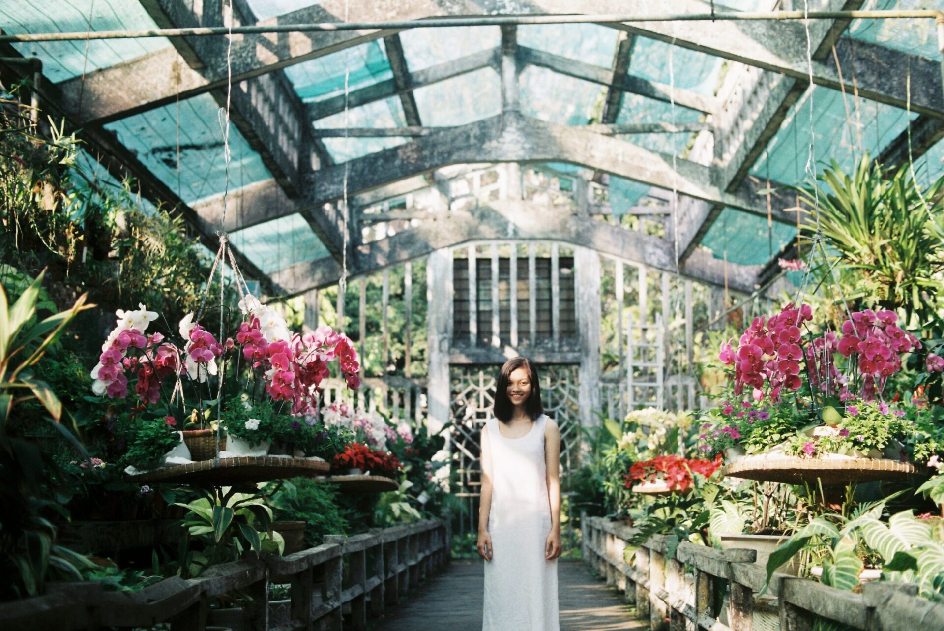 D Ng Ng C Kha 9Ovxlhjwjqe Unsplash 2 - 13+ Outside The Box Garden Wedding Ideas D Ng Ng C Kha 9Ovxlhjwjqe Unsplash 2 - 13+ Outside The Box Garden Wedding Ideas Gay Wedding Guide