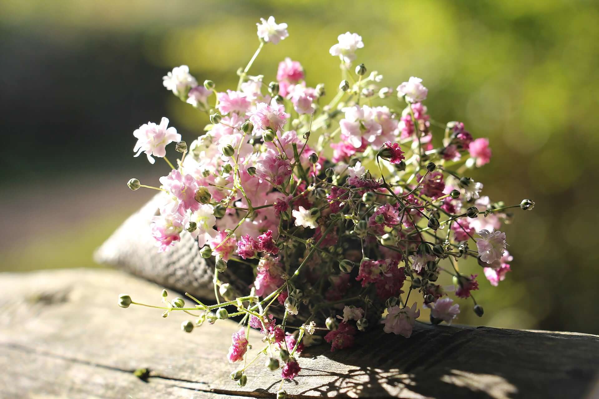 Flower Bag Of Gypsophila 1716664 1920 2 - 23 Charming &Amp; Rare Alternative Wedding Bouquets Ideas To Quick-Start Your Creativity Flower Bag Of Gypsophila 1716664 1920 2 - 23 Charming &Amp; Rare Alternative Wedding Bouquets Ideas To Quick-Start Your Creativity Gay Wedding Guide