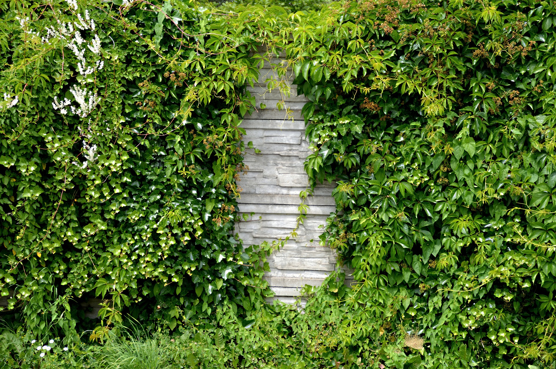 Garden Wedding Concrete Wall Jungle 1 2 - 13+ Outside The Box Garden Wedding Ideas Garden Wedding Concrete Wall Jungle 1 2 - 13+ Outside The Box Garden Wedding Ideas Gay Wedding Guide