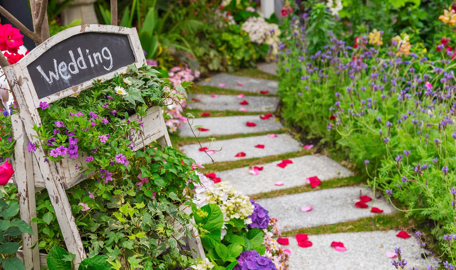 Garden Wedding Sign 1 2 - 13+ Outside The Box Garden Wedding Ideas Garden Wedding Sign 1 2 - 13+ Outside The Box Garden Wedding Ideas Gay Wedding Guide
