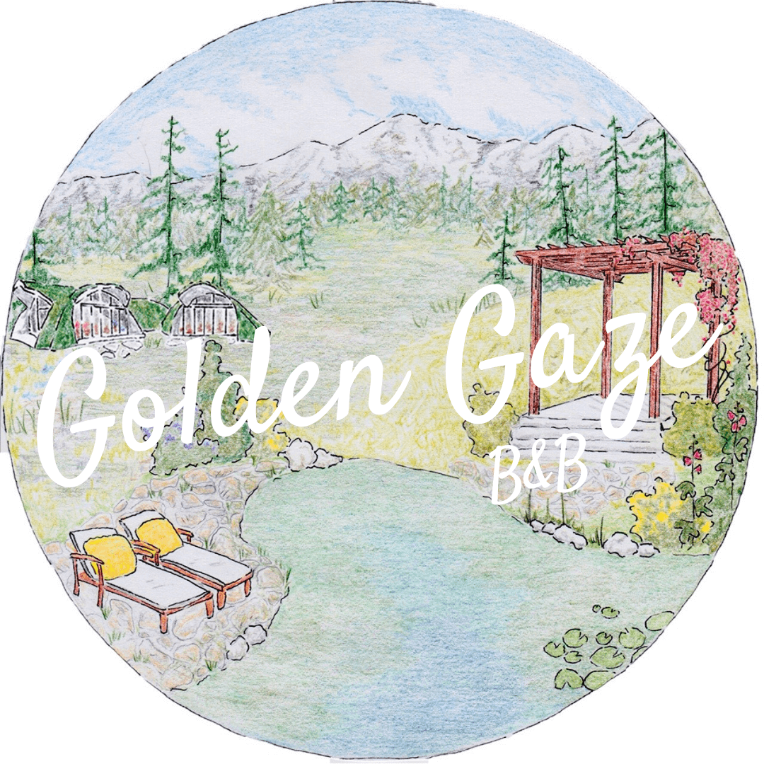 Golden Gaze Property 2 - Remarkable Queer &Amp; Black-Owned Romantic Getaway, Golden Gaze B&Amp;B Golden Gaze Property 2 - Remarkable Queer &Amp; Black-Owned Romantic Getaway, Golden Gaze B&Amp;B Gay Wedding Guide