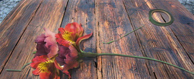 How To Make A Floral Crown For Your Wedding Image 3 2 - How To: Make A Wedding Flower Crown How-To-Make-A-Floral-Crown-For-Your-Wedding-Image-3