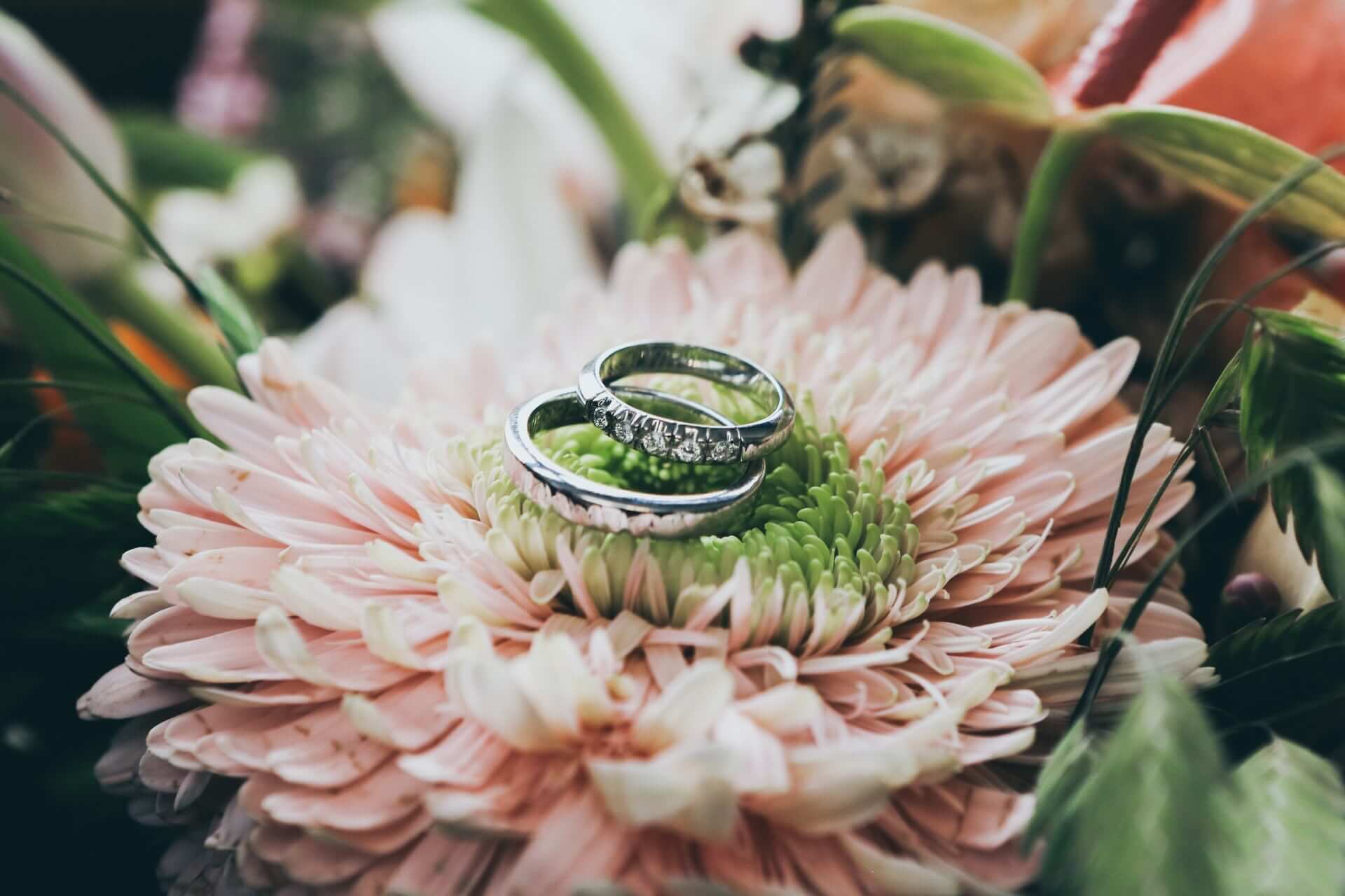 Nick Karvounis 8Wodx7No2Je Unsplash 2 - Eco-Friendly Wedding &Amp; Engagement Rings Nick Karvounis 8Wodx7No2Je Unsplash 2 - Eco-Friendly Wedding &Amp; Engagement Rings Gay Wedding Guide