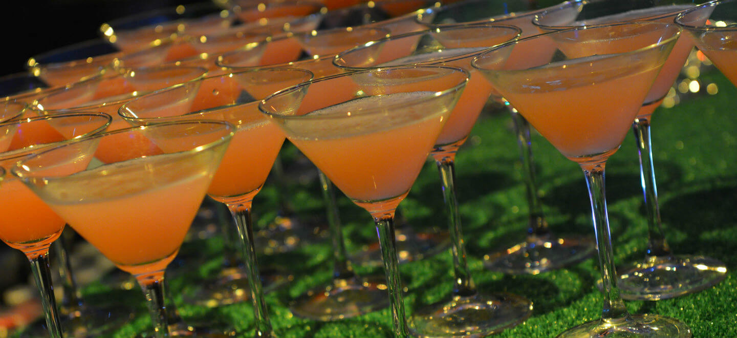 Pink Virgin Cocktails For Dry Wedding Image From Taylor Lynn Corporation Via The Gay Wedding Guide 2 - Spirited Dry Weddings Pink Virgin Cocktails For Dry Wedding Image From Taylor Lynn Corporation Via The Gay Wedding Guide 2 - Spirited Dry Weddings Gay Wedding Guide