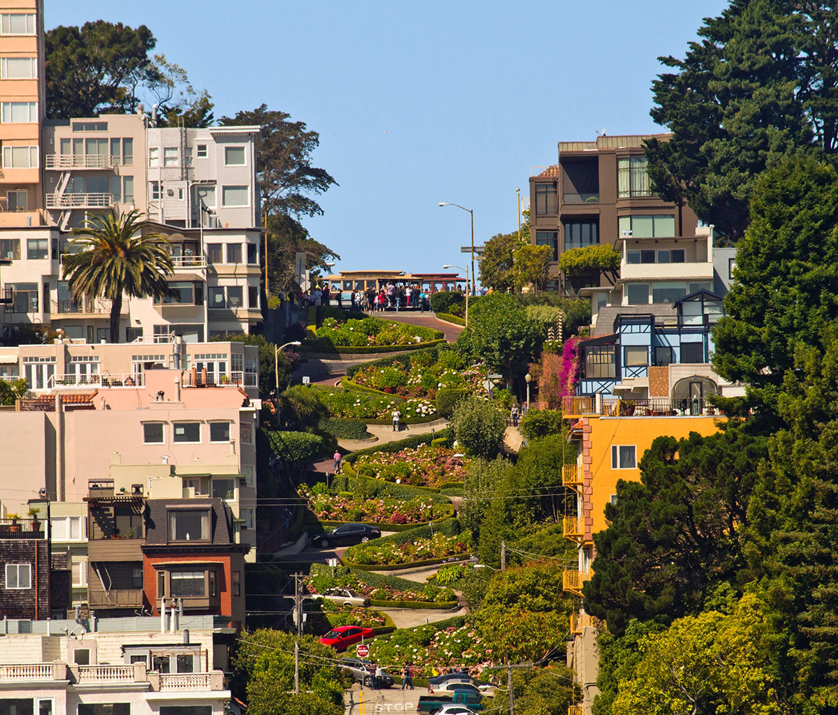 Same-Sex Destination Wedding In San Francisco, Usa