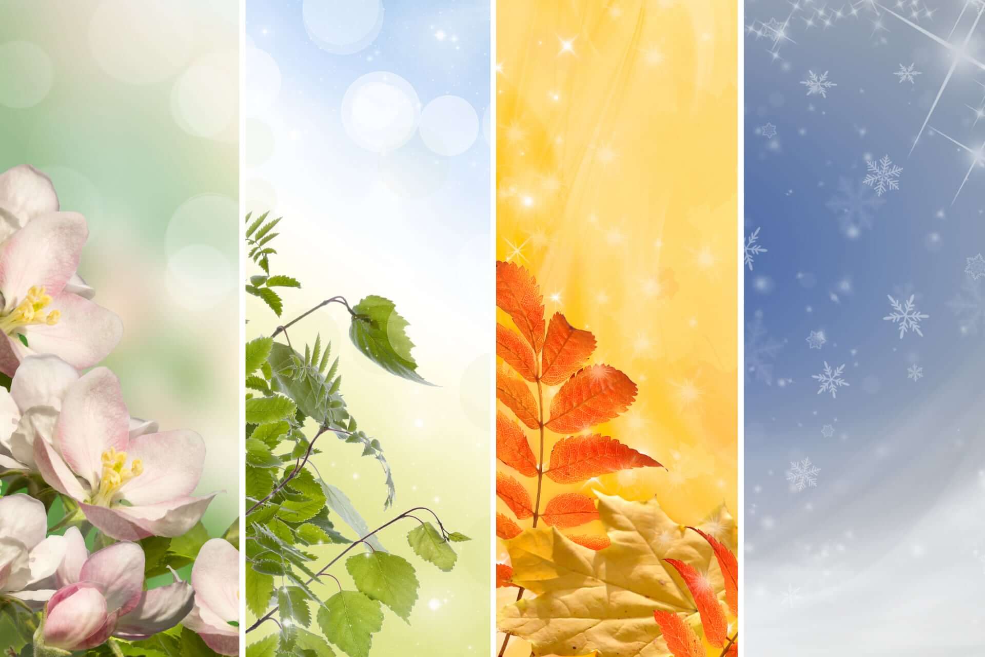Seasons Collage 2 - How To Choose An Elopement Photographer Seasons Collage 2 - How To Choose An Elopement Photographer Gay Wedding Guide