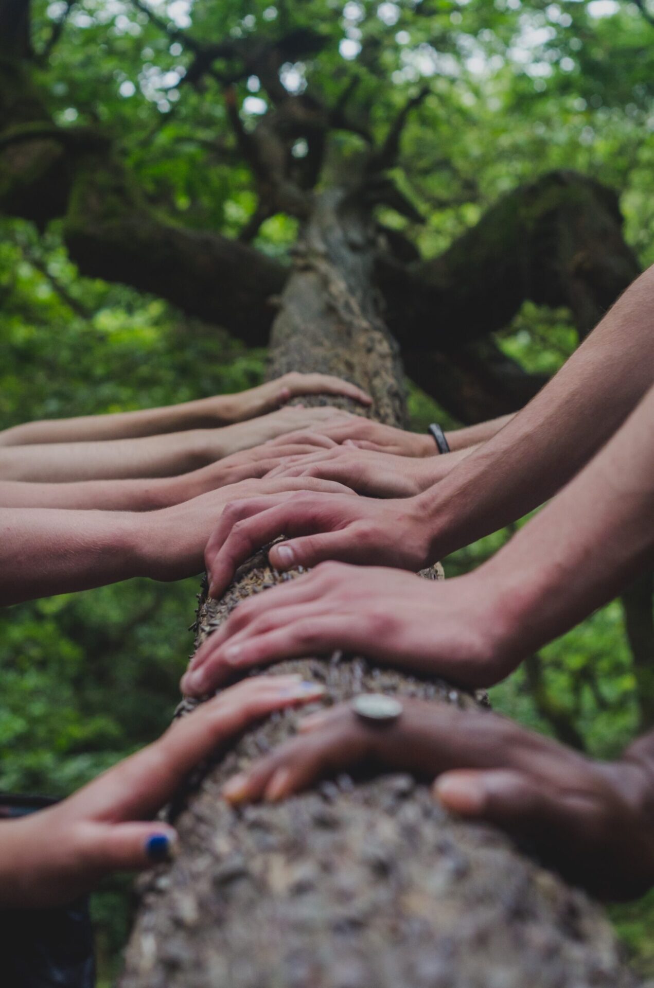 Shane Rounce Dnkonxqti3C Unsplash 2 - Proudly Celebrating Love - The Story On Why I Became A Wedding Celebrant Shane Rounce Dnkonxqti3C Unsplash 2 - Proudly Celebrating Love - The Story On Why I Became A Wedding Celebrant Gay Wedding Guide