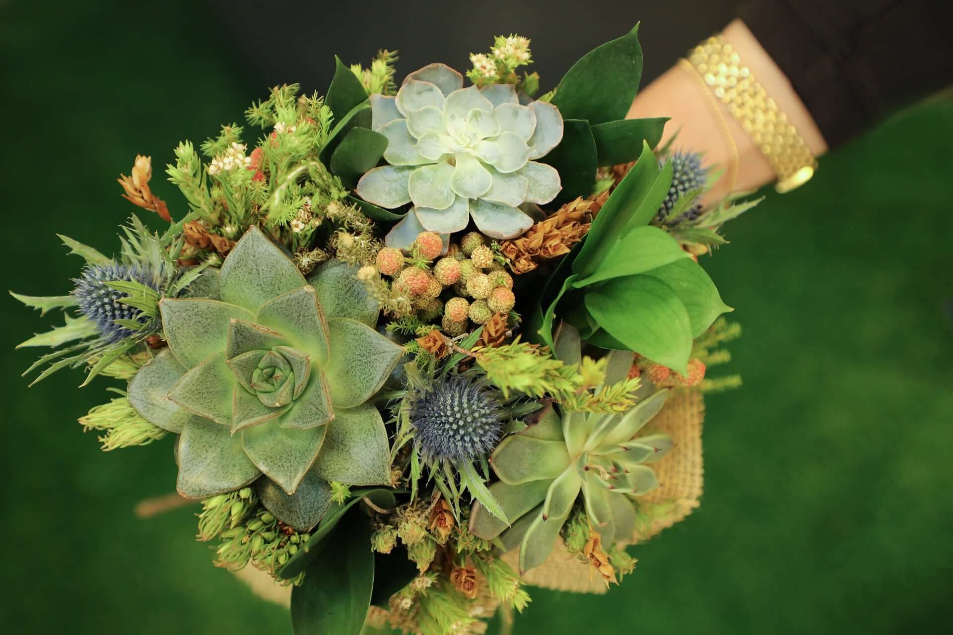 Suculents Flower Bouquet 3138707 1920 2 - 23 Charming &Amp; Rare Alternative Wedding Bouquets Ideas To Quick-Start Your Creativity Suculents Flower Bouquet 3138707 1920 2 - 23 Charming &Amp; Rare Alternative Wedding Bouquets Ideas To Quick-Start Your Creativity Gay Wedding Guide
