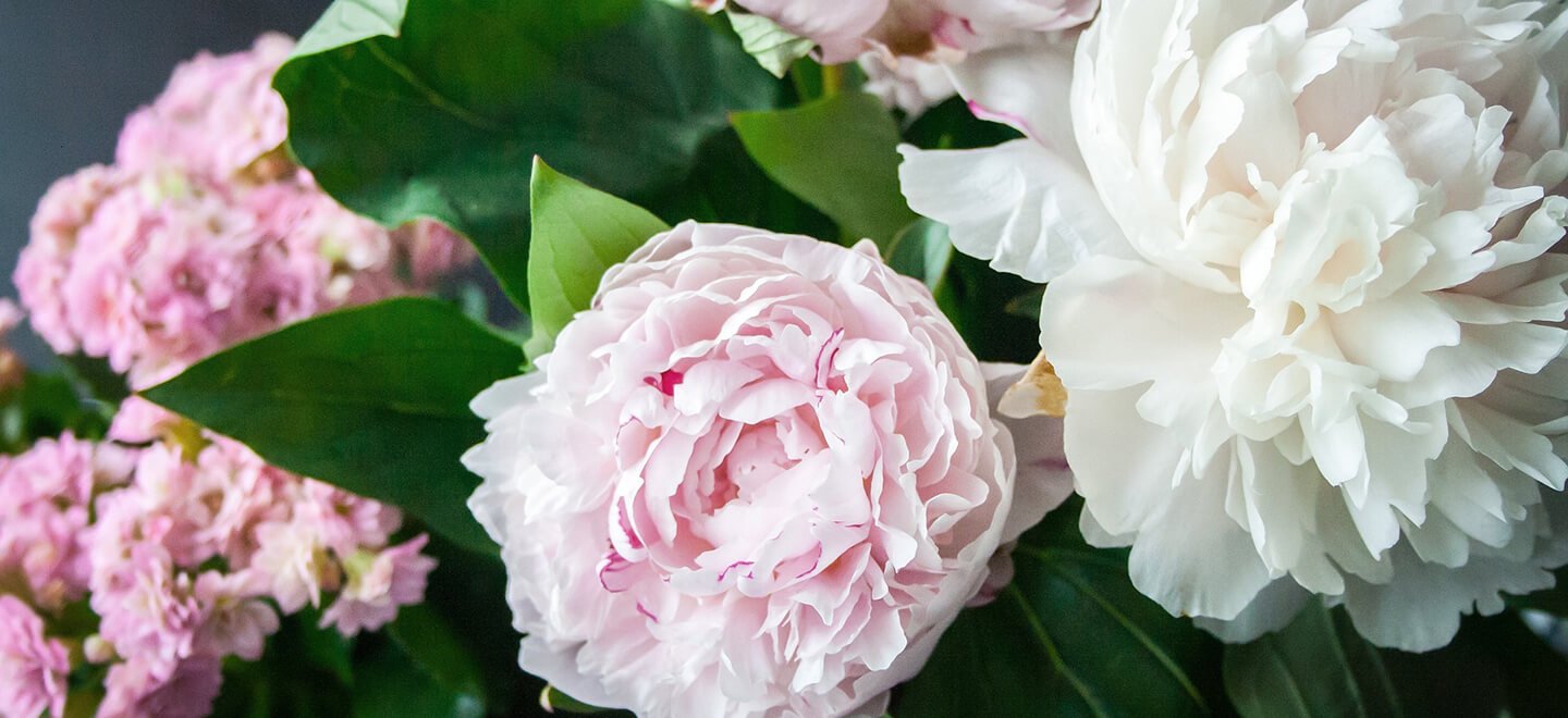Summer: Flowers By Season & Colour Infographic