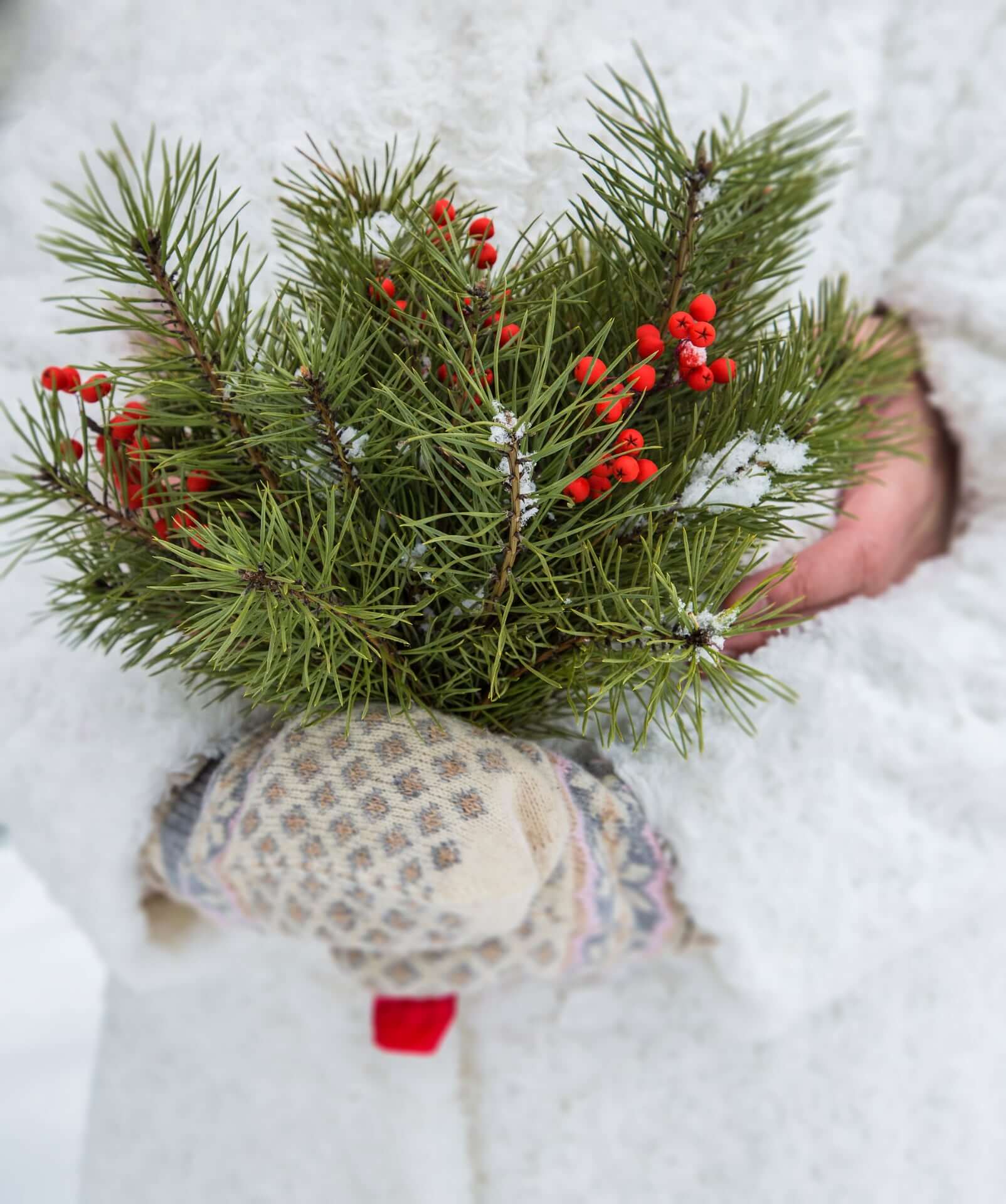 Winter Greens Bouquet 2 - 23 Charming &Amp; Rare Alternative Wedding Bouquets Ideas To Quick-Start Your Creativity Winter Greens Bouquet 2 - 23 Charming &Amp; Rare Alternative Wedding Bouquets Ideas To Quick-Start Your Creativity Gay Wedding Guide
