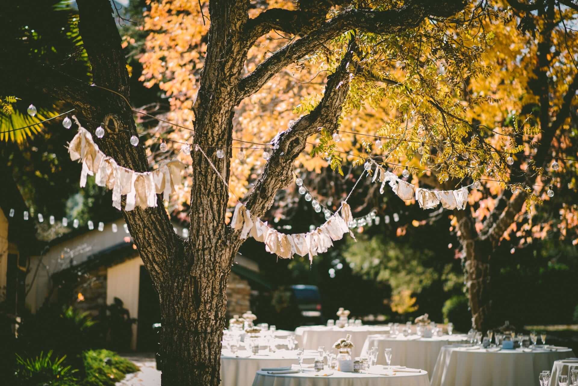 Ben Rosett Nyugmv Sy6S Unsplash - Front Page Gay Wedding Guide