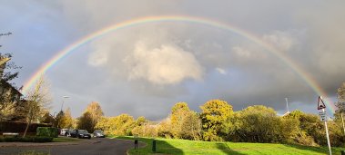 Rainbow 379X171