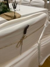 Img 0559 172X230