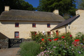 Thatch Exterior 2011 346X230