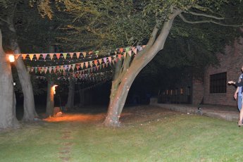 The Avenue Of Trees At Night