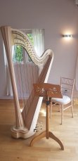 Harp At The Indoor Ceremony