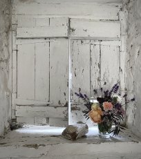 Img 0565 204X230