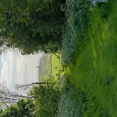 Img 20220512 184529 Hdr 230X230
