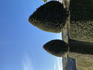 Img 7456 306X230