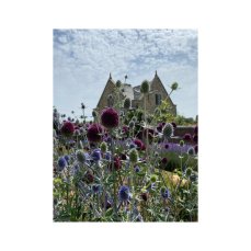 Whitagram Image 1 229X229