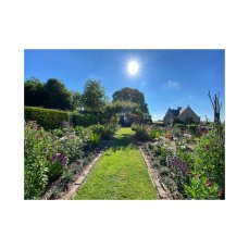 Whitagram Image 2 229X229