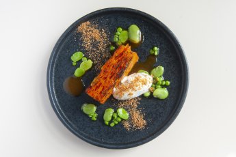 Carrot 345X230