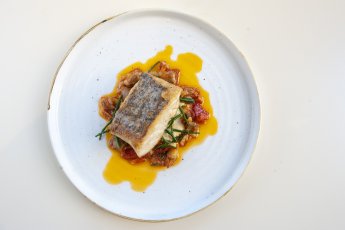 Hake 345X230