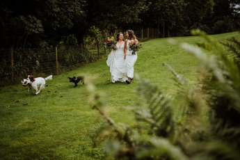 Samesex Weddings Thegreen 5 345X230