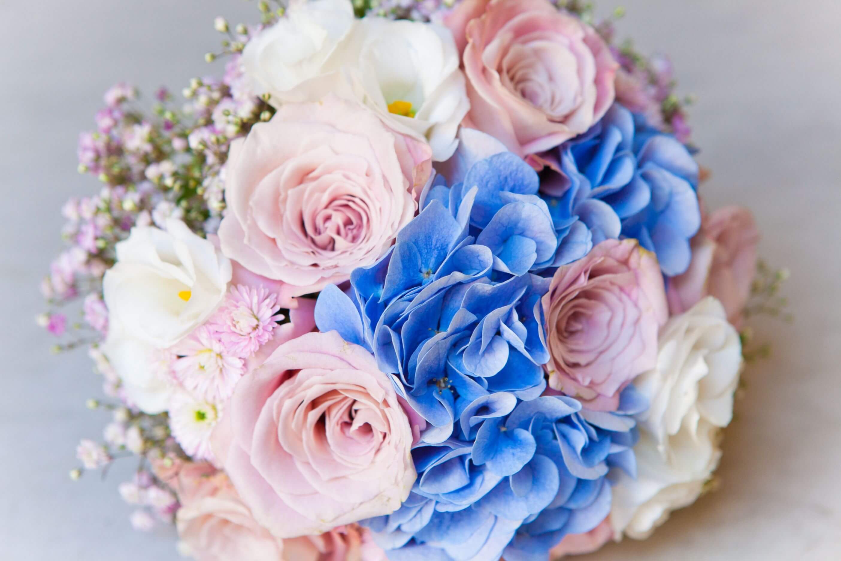 Seasonal Flowers - What Flowers To Choose For A Gay Wedding Seasonal Flowers - What Flowers To Choose For A Gay Wedding Gay Wedding Guide