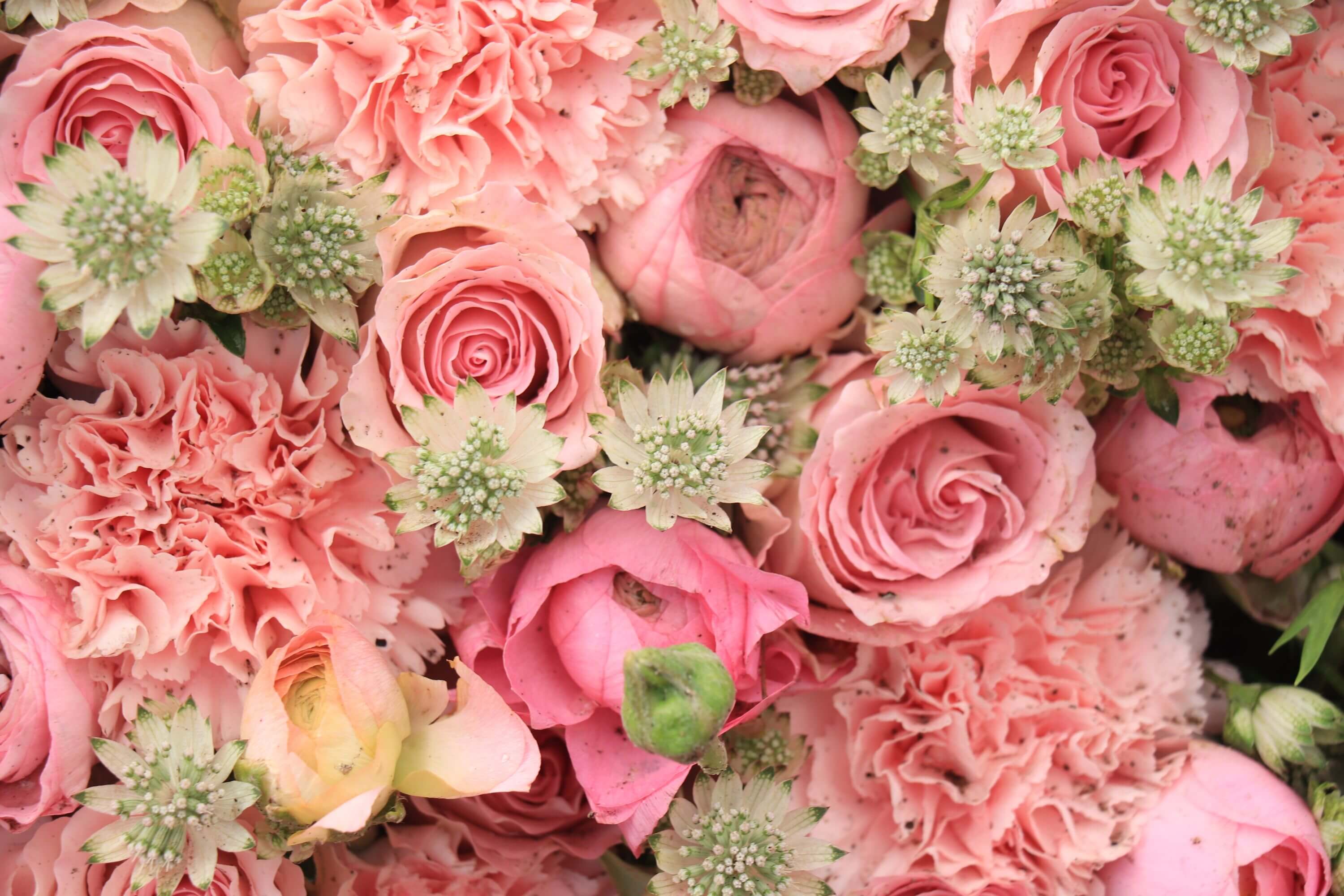 What Flowers To Choose For A Gay Wedding