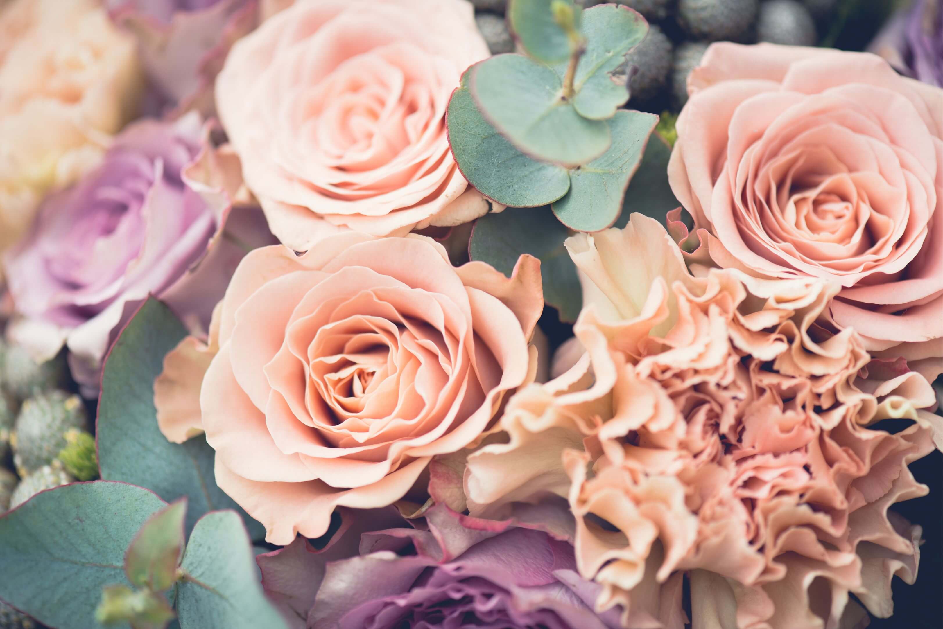 Why Choose A Particular Flower - What Flowers To Choose For A Gay Wedding Why Choose A Particular Flower - What Flowers To Choose For A Gay Wedding Gay Wedding Guide