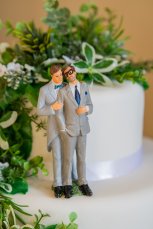 009 Cake6 153X229