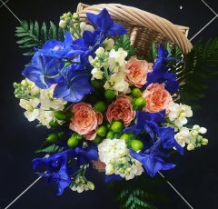 28F0Cf57 Cd40 4F7F A81F 43D9Ef419Fab 240X230
