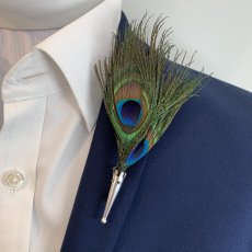 Aw22 Peacock Feather Vase 230X230